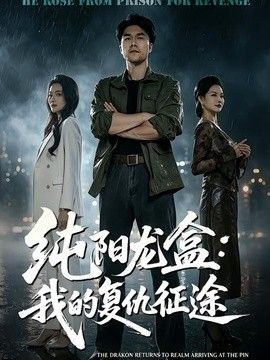 純陽龍盒：我的復(fù)仇征途海報(bào)